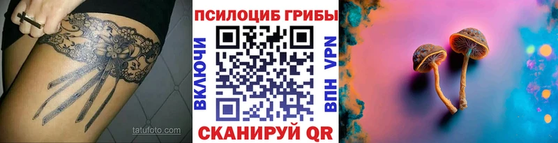 hydra   Домодедово  Галлюциногенные грибы прущие грибы 