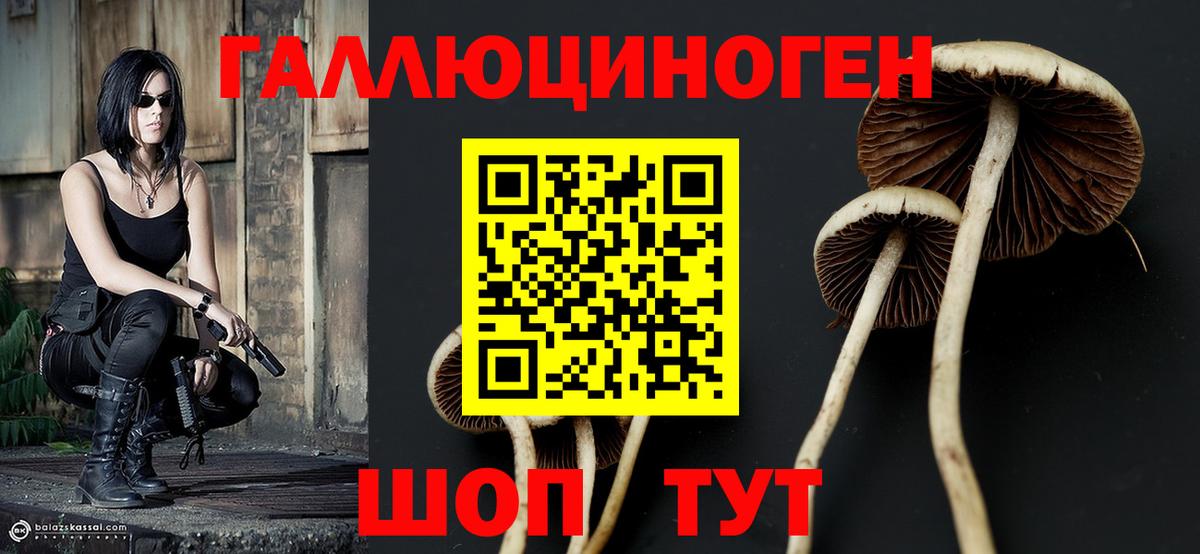 Галлюциногенные грибы GOLDEN TEACHER Домодедово