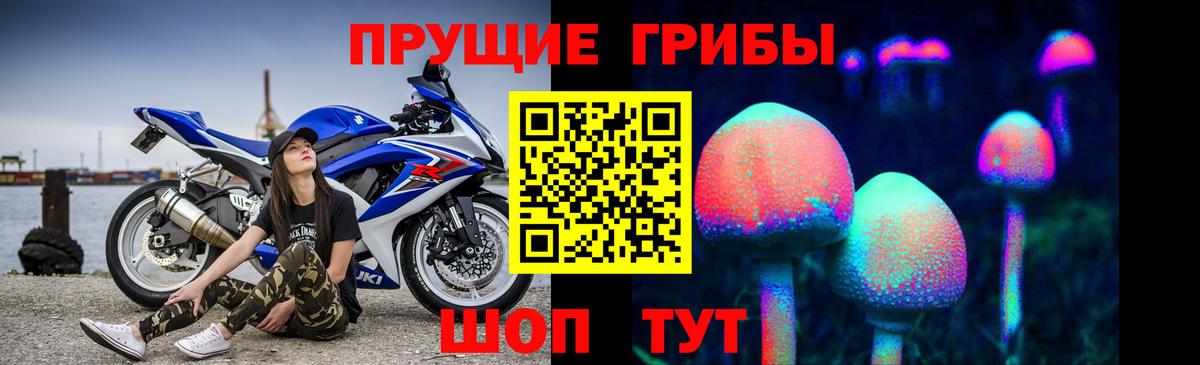 Галлюциногенные грибы Psilocybe  Вход с VPN  Домодедово 